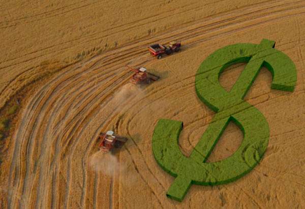 Crédito Rural - Objetivos, Condições e Atividades - TopInvest