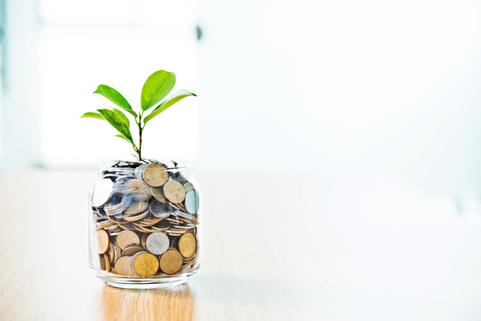 Fundos de Investimento Sem Carência
