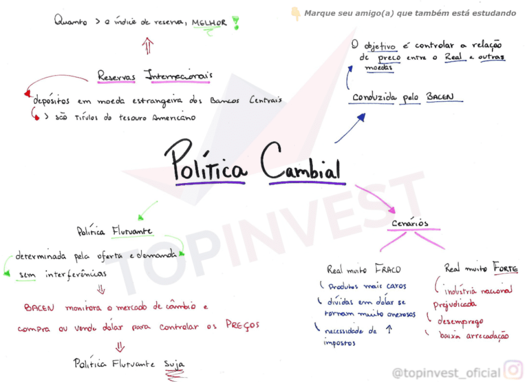 Mapa mental Política Cambial, Organograma Política Cambial