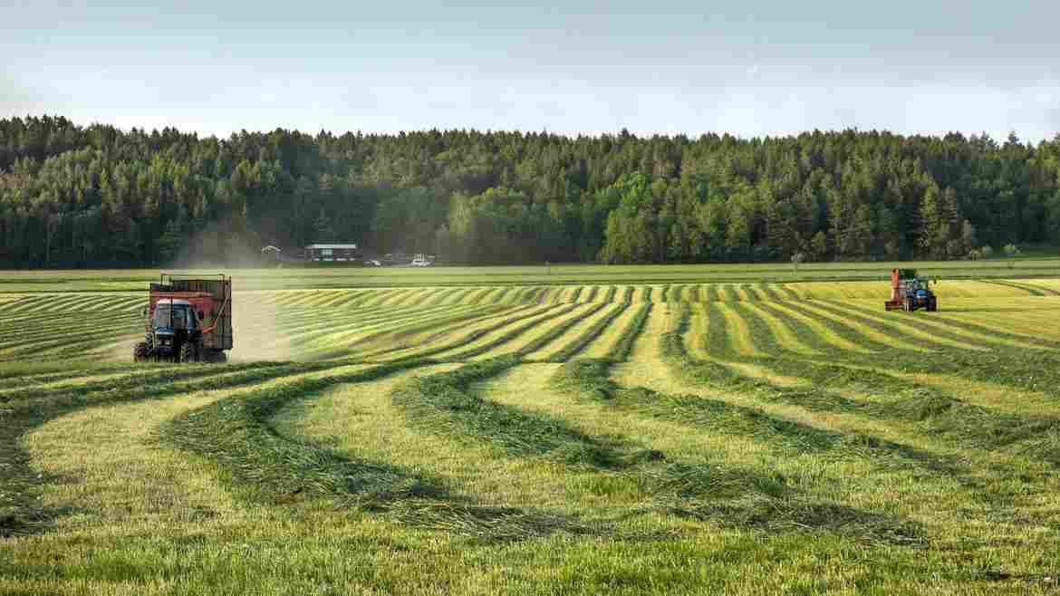 CRA, CPR e CDCA: conheça os títulos do agronegócio