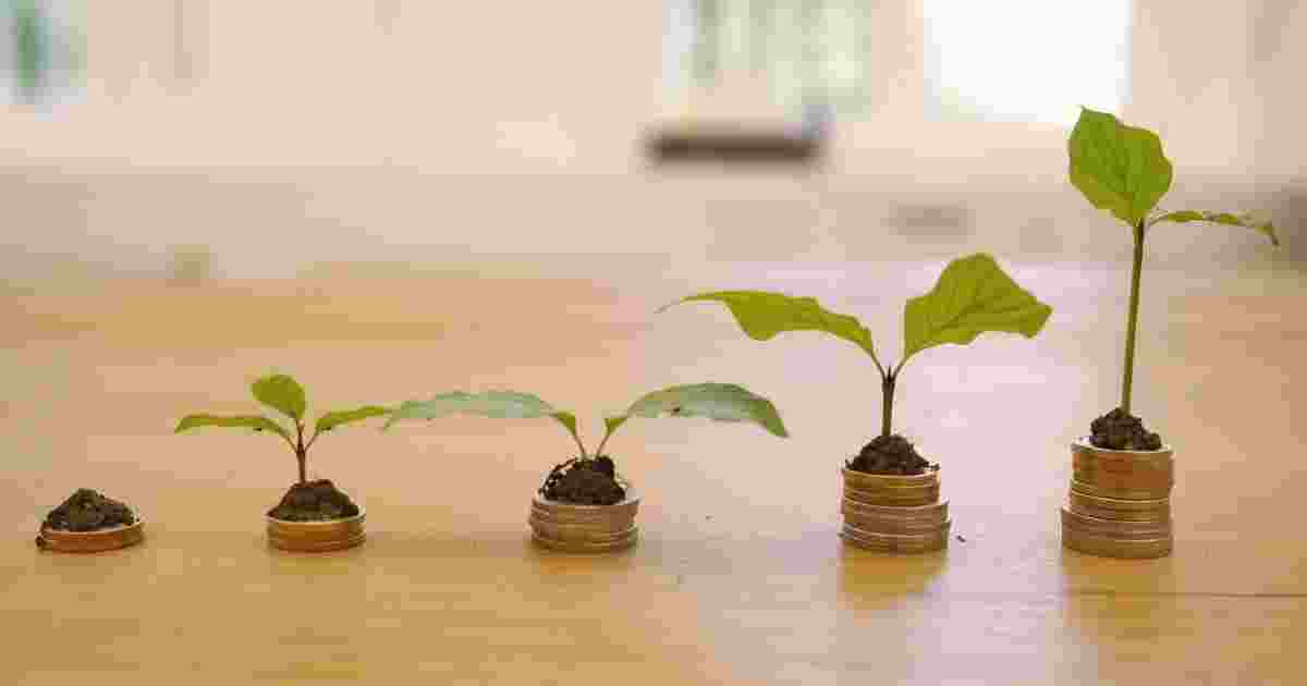 Taxa Referencial (TR): o que é e como impacta os investimentos